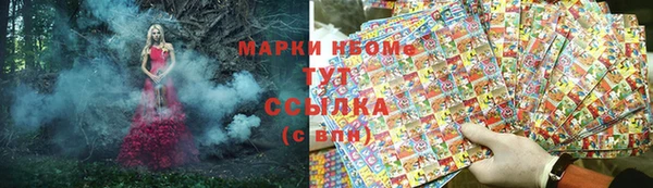 стаф Богородицк